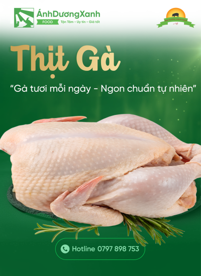 Thịt Gà