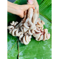 Dồi Trường