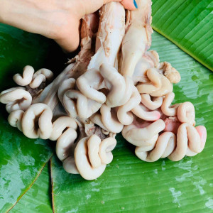 Dồi Trường