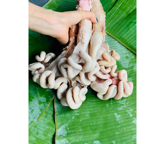 Dồi Trường